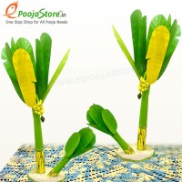 Artificial Banana Tree Pair (17 Inches), Navaratri Durga Pooja, Dussehra Festival Decoration, Diwali Festival, Festival Gifts
